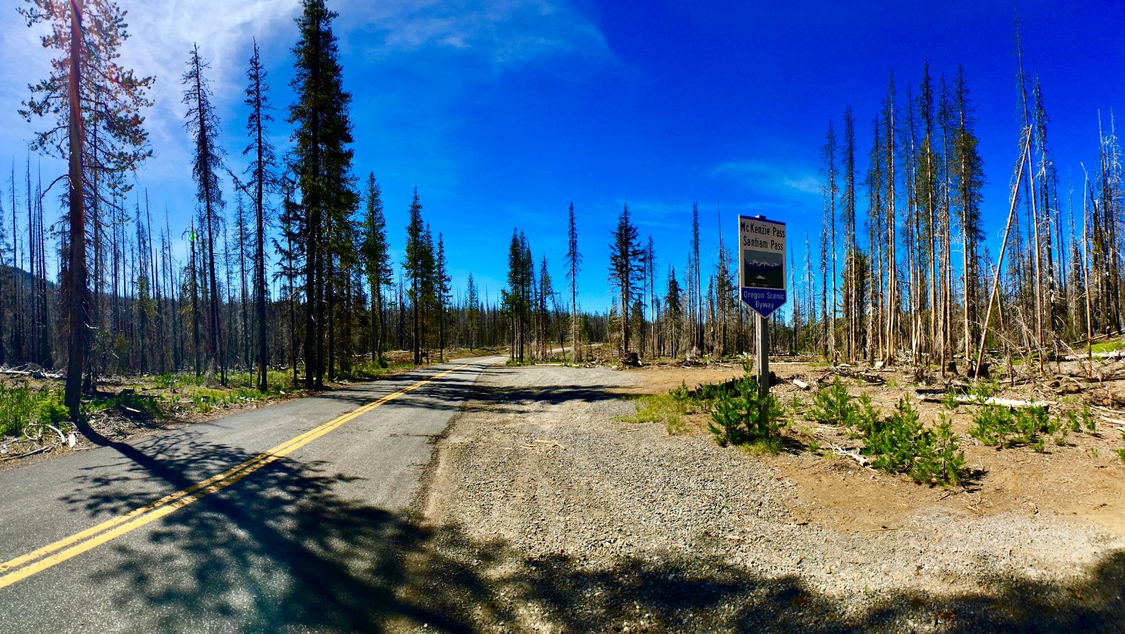 odot trip check willamette pass