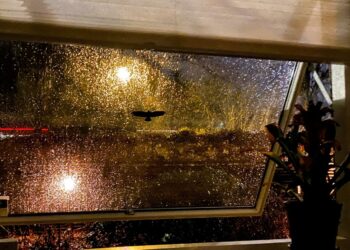 The Early Days Of Pibby Deviantart