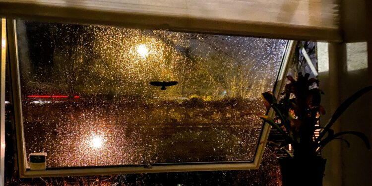 The Early Days Of Pibby Deviantart