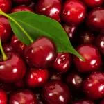 Your One-Stop Shop For Premium Cherry Products: Cherryyt. com