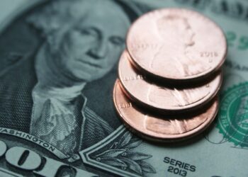 How to Manage Your Wage Wisely: Hacks to Follow Daily