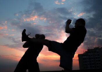 The Essential Guide to Martial Arts Management Software