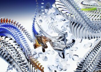 How to Transform Photos into Three-Dimensional Models