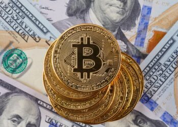 The Future of Cryptocurrency: Is Crypto Just a Phase, or Is It Here to Stay?