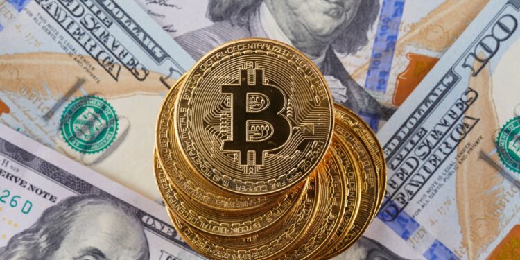 The Future of Cryptocurrency: Is Crypto Just a Phase, or Is It Here to Stay?