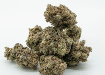 The Rise of Cannabis Delivery in Arizona: What You Need to Know