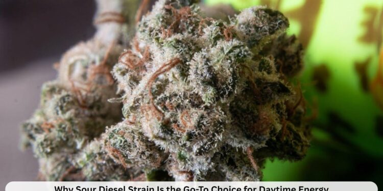 Why Sour Diesel Strain Is the Go-To Choice for Daytime Energy