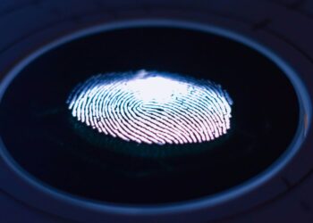 What Fintechs Are Learning from Other Online Services’ Security Protocols