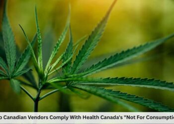 How Do Canadian Vendors Comply With Health Canada’s “Not For Consumption” Rule