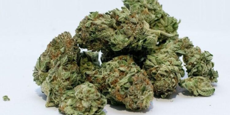 THCA Flower Strains in 2026 You Should Try