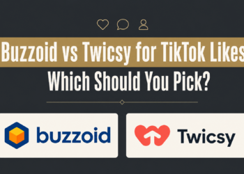 Buzzoid vs Twicsy for TikTok Likes: Which Fits Your Post?