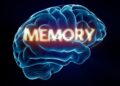 Why “AI Memory” Is Becoming the Next Big UX Challenge, According to 2026
Research