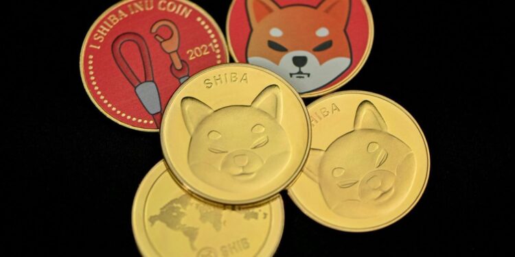 From meme to the metaverse: Exploring the fascinating journey of the Shiba Inu
coin