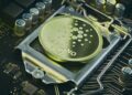 Cardano’s founder urges the community to stop talking and start using the
blockchain