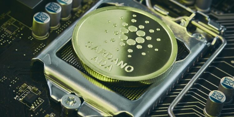Cardano’s founder urges the community to stop talking and start using the
blockchain
